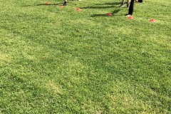 IMG_8593