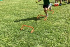 IMG_8611