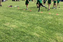 IMG_8627