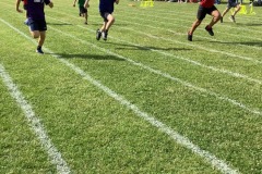 IMG_0803