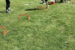 IMG_8649