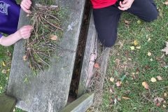 IMG_0281