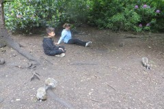 IMG_6904