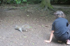 IMG_6905