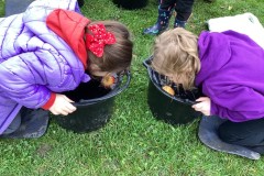 1E6FE68DD42A4129A3277276FDB2AAFF