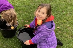 4933A7B6F62A49C784E49DE64F78C8FE