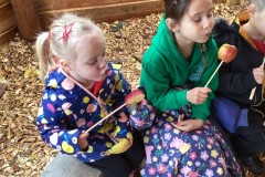 D12BF61C149547FCBECFFDA2404E9975