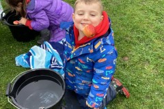 E267FBCD295E43FA962D41CE5B65C952