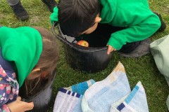 E7E4FF197C4D4ED8B6F810974EB046FF