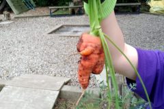 IMG-20260921-WA0004