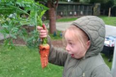 IMG-20260921-WA0012