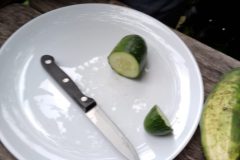IMG-20260921-WA0014