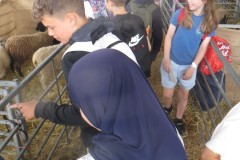IMG_0114