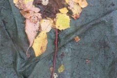 IMG_4713-scaled