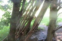 IMG_3876
