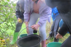 IMG_1163