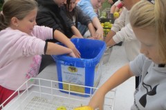 IMG_1171