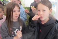 IMG_1175