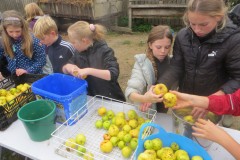 IMG_1244