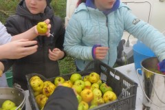 IMG_1246