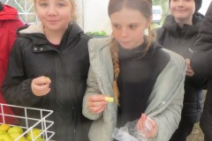 IMG_1260