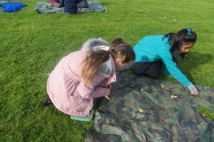 IMG_1508-Copy