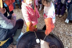 E21A453D49844C7F86E16F5AB31D4411