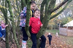 0F053E5A542A48BAAD7BFFF0721CF32A