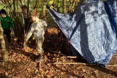 617DBEB0071649D0B6367271B4992F27