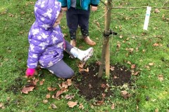 77BBA12DB939478DA063779DEF3BEB5D