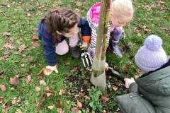 96E055FC17504312976B26CFD7B0B260