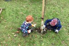 DAA1F74E4FB54B86A435A99E7CED787E