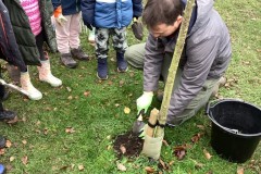 DAC9767FAFC54579B6C999B9A7FCE5DB