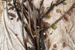 E3E2576F06994AD189377390909BF9F5