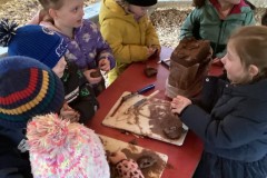 222A2E1BAC8648BF9FD459D2ECD20914