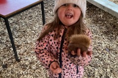 2DC95DEE895C45CA906D614308595EC5