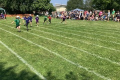 IMG_1274