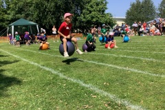 IMG_1347