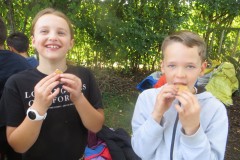 IMG_0774