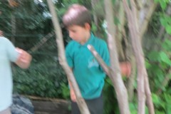 IMG_3771