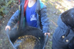 IMG_1400