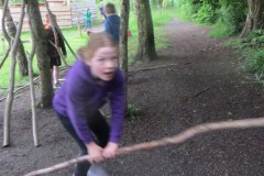 IMG_3653