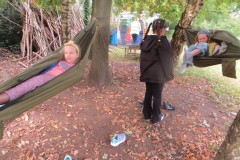 IMG_0978