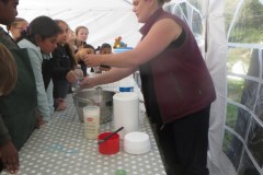 IMG_0458