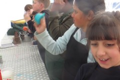 IMG_0464