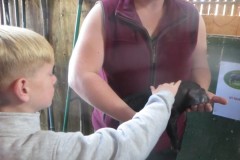 IMG_0544