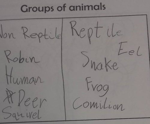 Animals including Humans 6