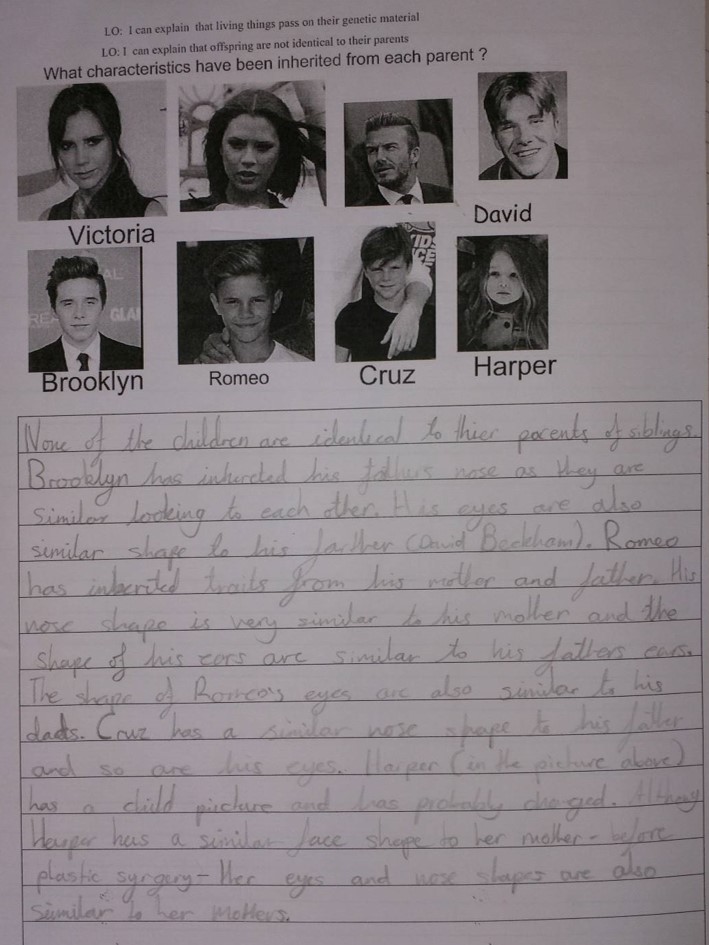 Evolution and inheritance year 6 worksheets picture