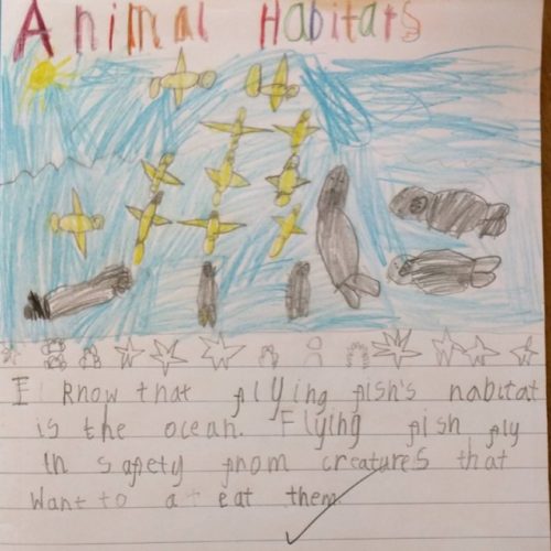 Living Things and Their Habitats 2