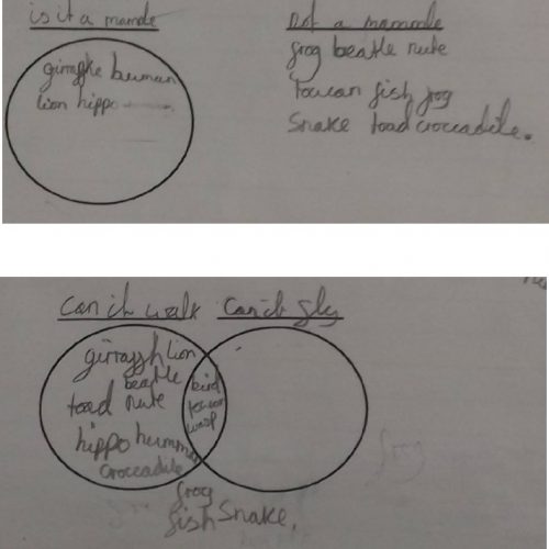 Living Things and Their Habitats 3